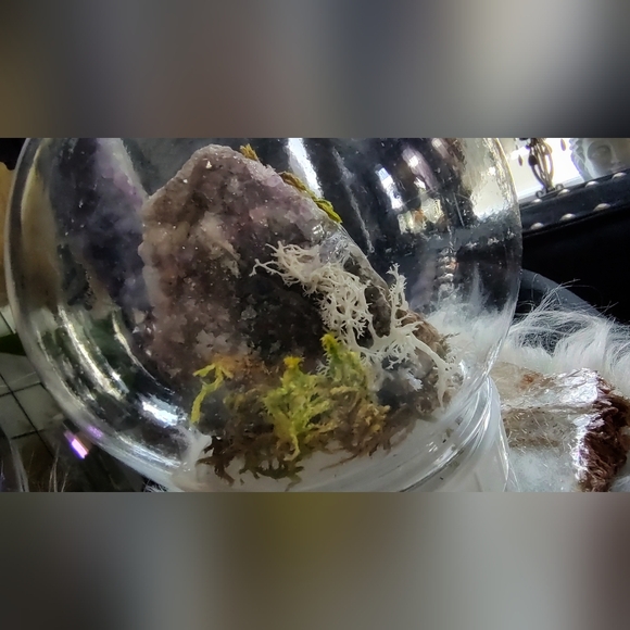 Plastic Moss Dome w/ Thunder Bay Amethyst - Picture 2 of 7